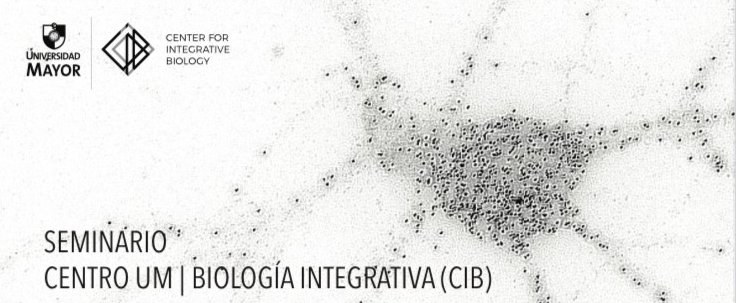 2dbe0c2e bc9b 4a2b 838e 16a25d55a2c5 Copy