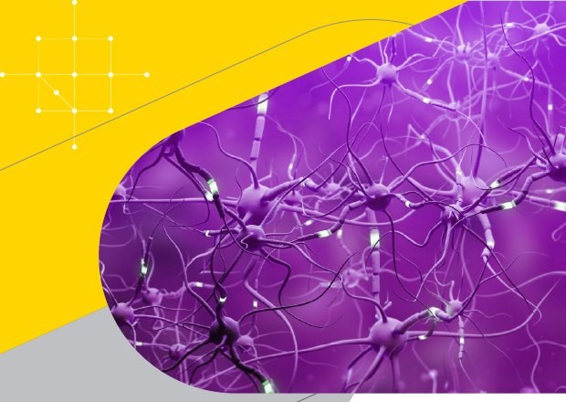 HDR FRONTERAS BIOMEDICINA1 Copy