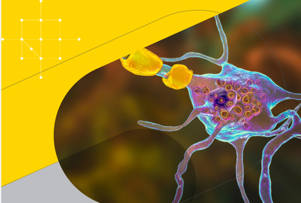 Screenshot From 2025 10 09 15 35 07