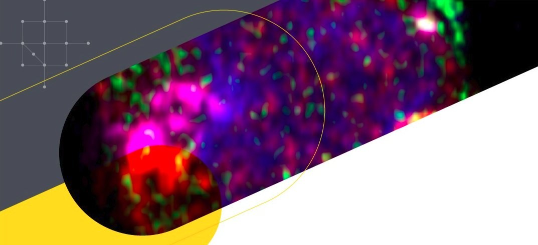 Whats App Image 2025 10 10 at 17 42 12 crop