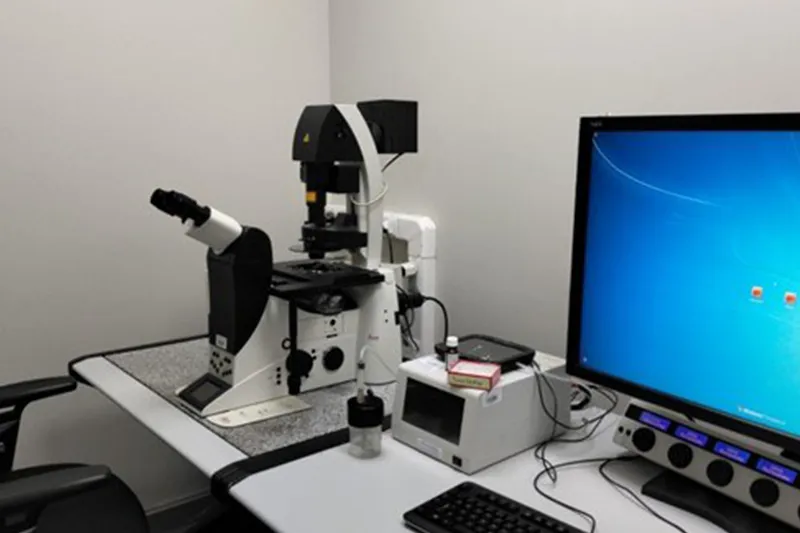 Leica Confocal SP8