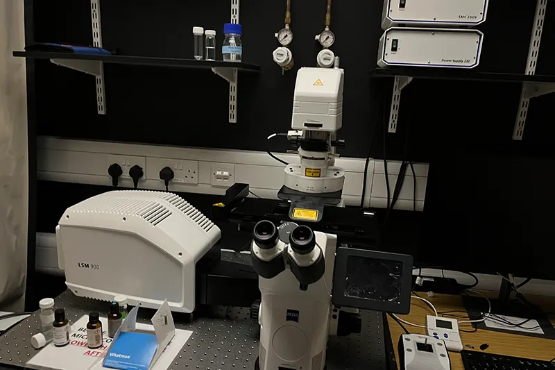 Zeiss Confocal LSM900