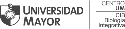 Universidad Mayor