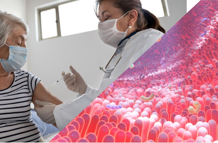 Investigadores U. Mayor estudiarán la relación entre la microbiota y la eficiencia de la vacunación contra el Covid-19 en adultos mayores chilenos
