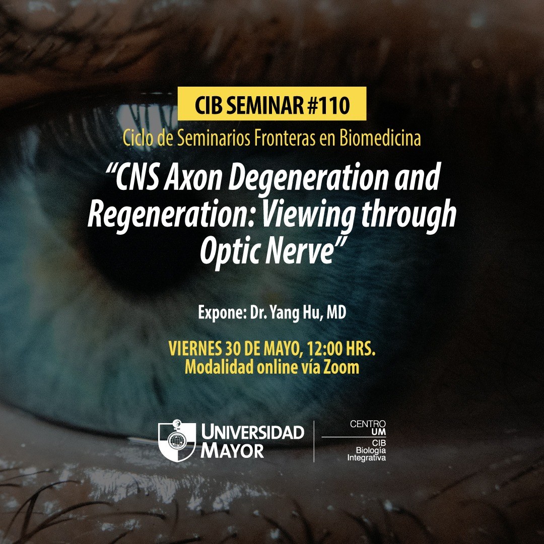 CNS Axon Degeneration and Regeneration: Viewing through the Optic Nerve