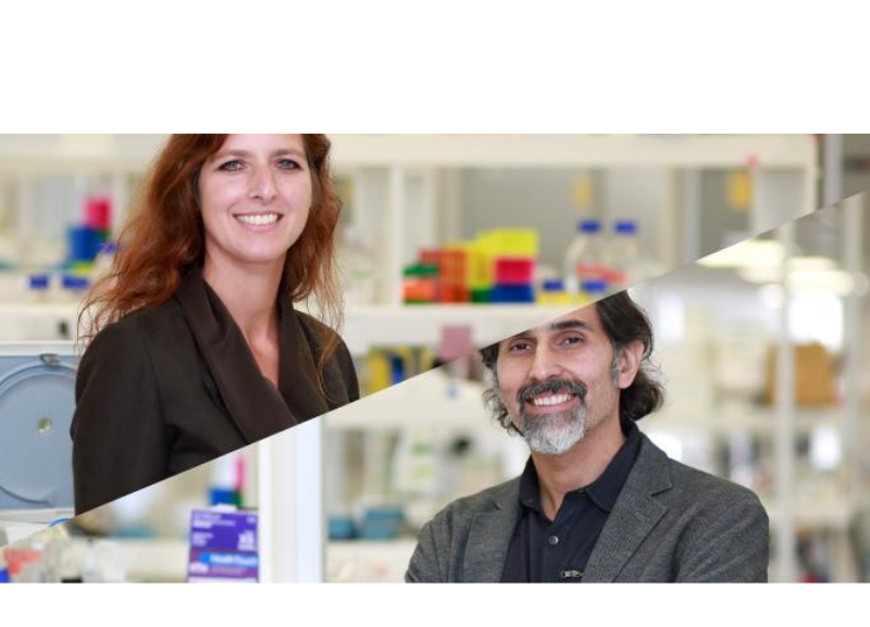 Investigadores del CIB lideran equipo que descubrió posible blanco terapéutico para combatir diversos tipos de cáncer
