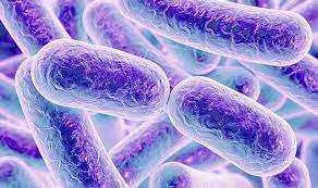 Investigador del Centro CIB es reconocido por sus estudios sobre el microbioma
