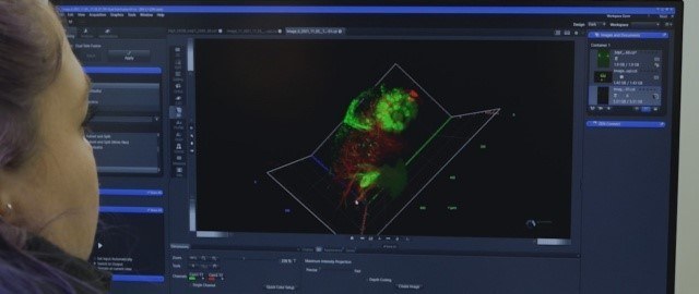 Microscopía Light-Sheet: conoce la nueva tecnología disponible en la U. Mayor