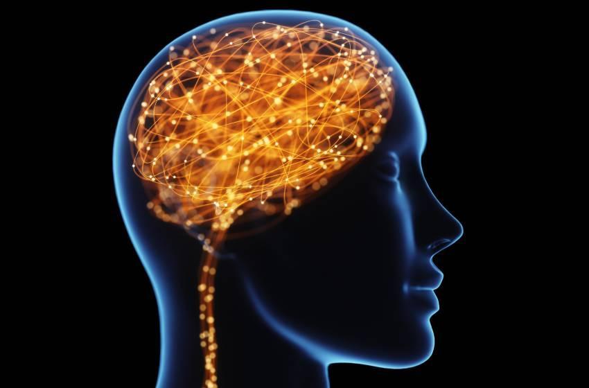 Académica del CIB lideró primer estudio sobre la importancia de la Vitamina D a nivel celular en Chile